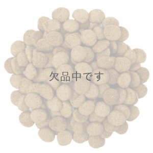 画像2: 【販売終了】ナチュラルバランス ファットドッグス ドライドッグフォーミュラ　2.27kg