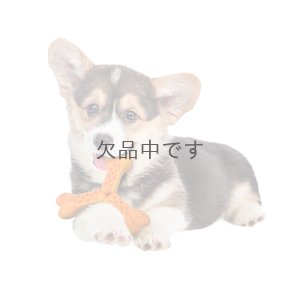 画像3: ドギーデントプラスM　チキン