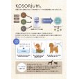 画像2: ［獣医師推奨ケア用品］KOSORIUM（コーソリウム） (2)