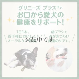 画像3: グリニーズプラス 【超小型犬用】30本入り