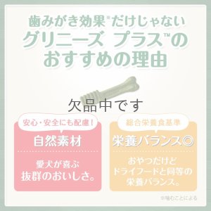 画像2: グリニーズプラス 【超小型犬用】30本入り