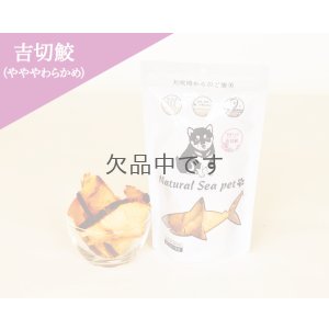 画像1: 【国産】乾燥サメ肉ジャーキー