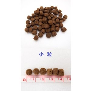 画像4: ルーシーペット ベニソンミール&スウィートポテト