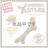 パーフェクトアントラー　Mサイズ