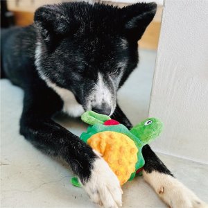 画像4: フーディーフレンズサンドバル　タートルバーガー