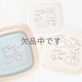コンパクトランチボックス3個セット　コーギー