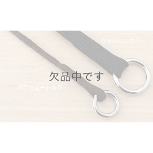 画像5: クッションカラー