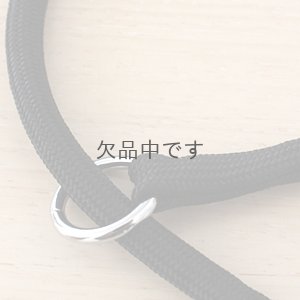 画像2: クッションカラー