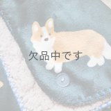 スワンネル3wayひざ掛け　コーギー（ワインは１０月１３日入荷予定）