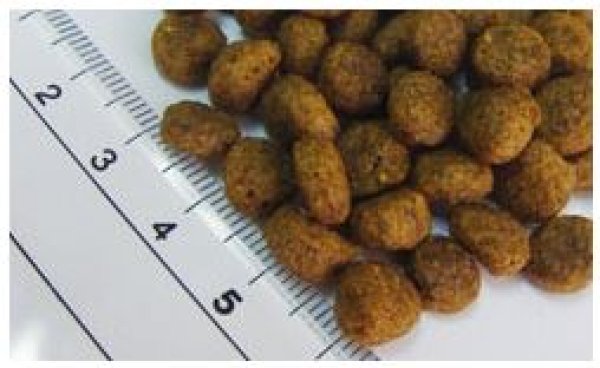 画像3: フィッシュ４ドッグ　サーモン［小粒］   (3)