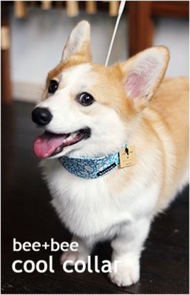 画像9: ［bee+bee］クールカラー ストロベリー＆フラワー（保冷剤２個付き） (9)