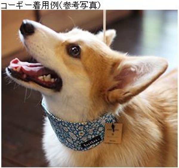 画像8: ［bee+bee］クールカラー ストロベリー＆フラワー（保冷剤２個付き） (8)