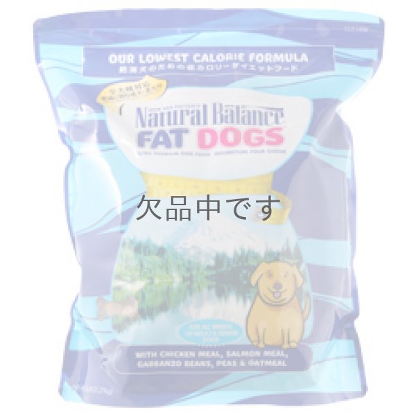画像1: 【販売終了】ナチュラルバランス ファットドッグス ドライドッグフォーミュラ　2.27kg (1)