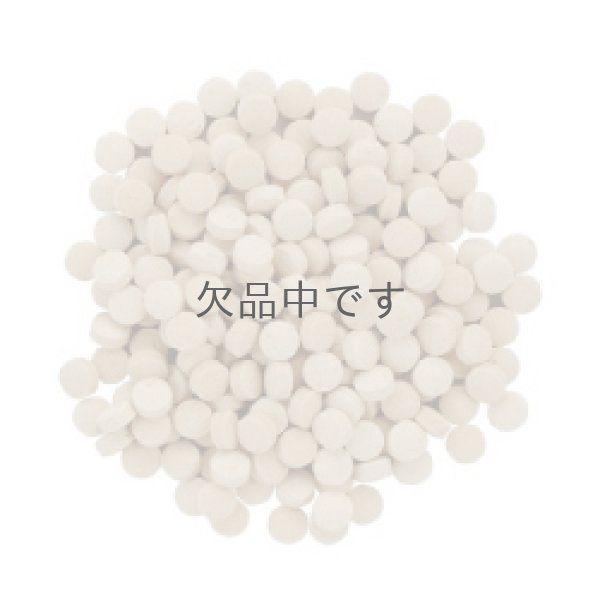 画像2: 【販売終了】カーリックイースト 180粒 (2)
