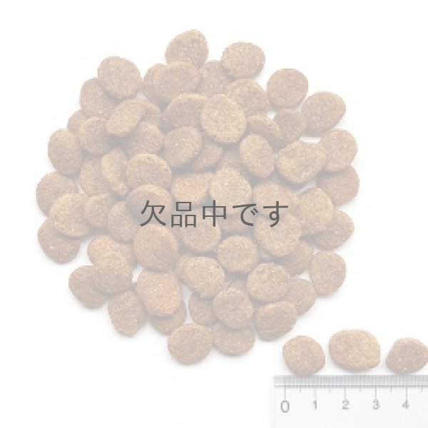 画像2: 【販売終了】ウルトラプレミアム リデュースカロリーフォーミュラ (2)