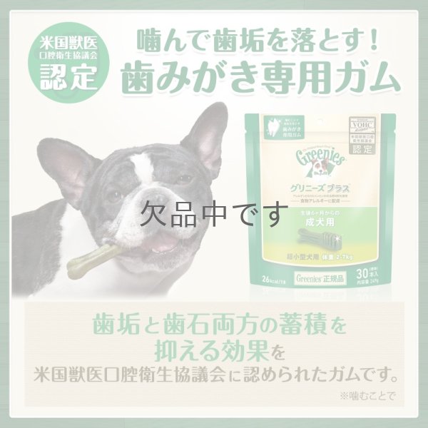 画像1: グリニーズプラス 【超小型犬用】30本入り (1)