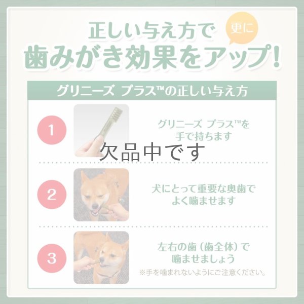 画像4: グリニーズプラス 【超小型犬用】30本入り (4)
