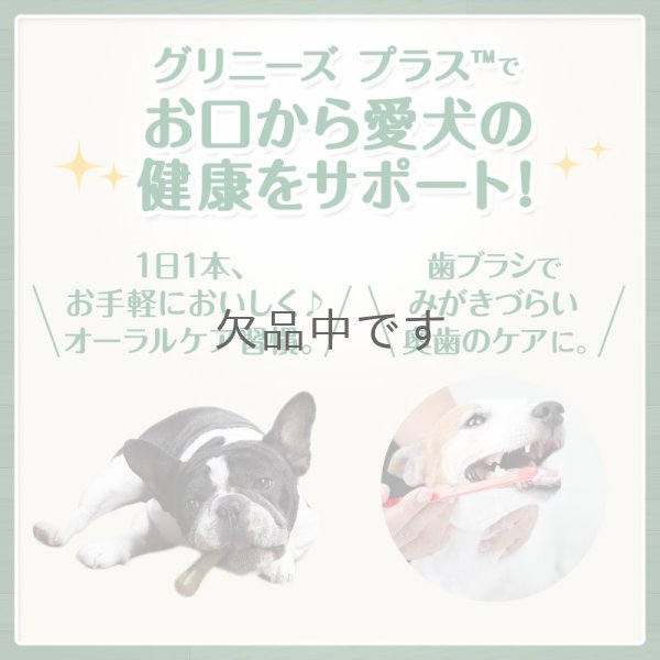 画像3: グリニーズプラス 【超小型犬用】30本入り (3)