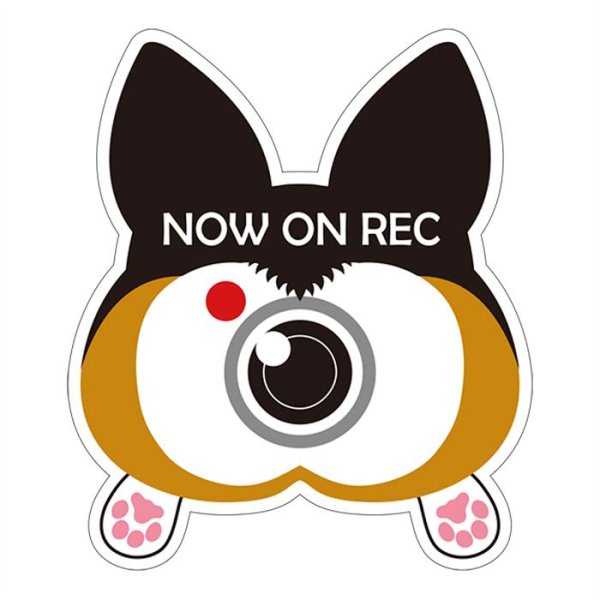 画像1: コーギーのお尻 マグネットステッカー ドライブレコーダー録画中（トライカラー） (1)