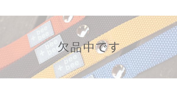 画像3: ［bee+bee］10colorsリード (3)