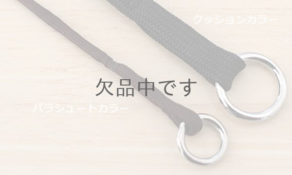 画像5: クッションカラー (5)