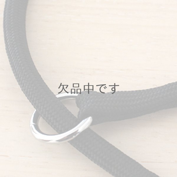 画像2: クッションカラー (2)