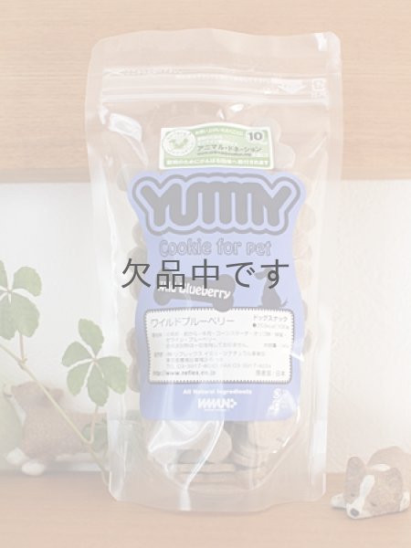 画像1: ヤミークッキー　ワイルドブルーベリー (1)